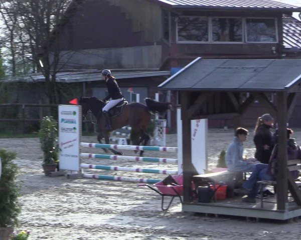 Reitturnier Marienheide-Kempershöhe 2024
