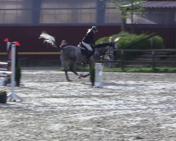 Reitturnier Marienheide-Kempershöhe 2024