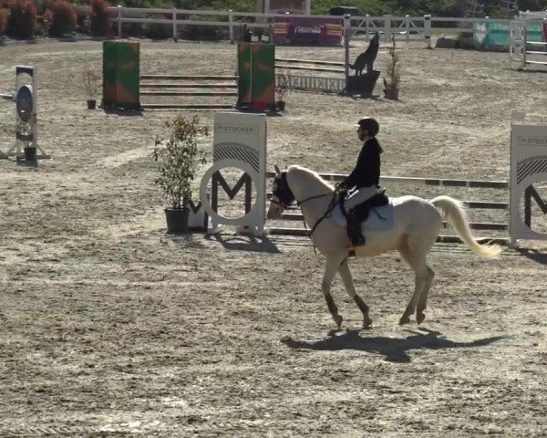 Reitturnier St. Margarethen 2024