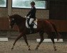 dressage horse Falcon 45 (Westphalian, 2008, from Florestan I)