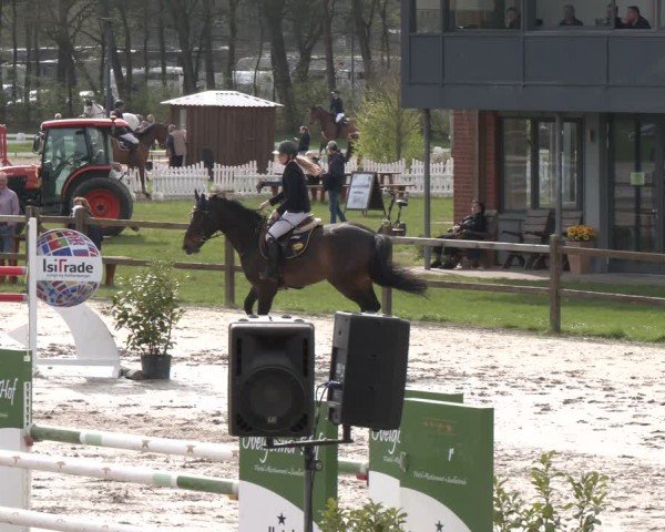 Reitturnier Westergellersen 2024