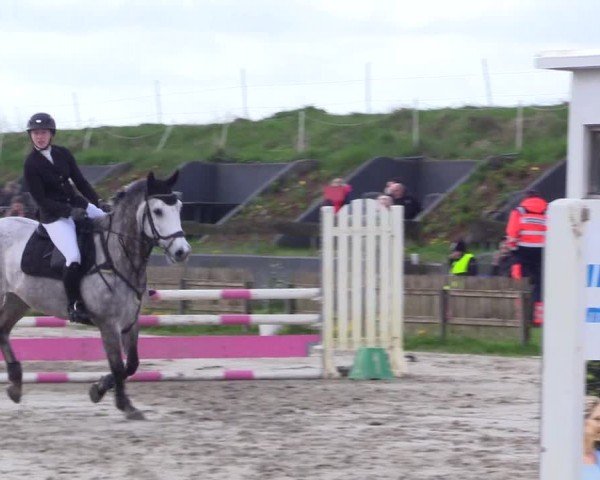 Reitturnier Breiholz "Am Moltkestein" 2024