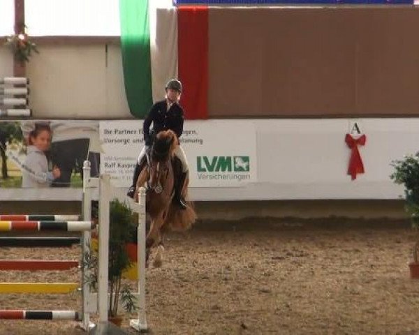 19. Winter Hallen Reit- und Springturnier 2011
