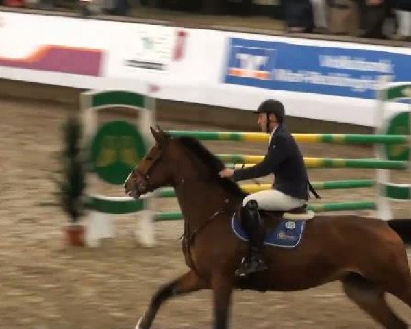 19. Winter Hallen Reit- und Springturnier 2011