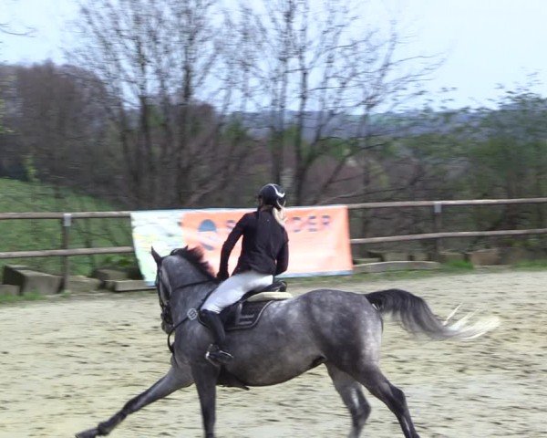 Reitturnier Marienheide-Kempershöhe 2024