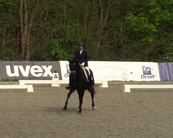 Reitturnier Elmlohe 2024
