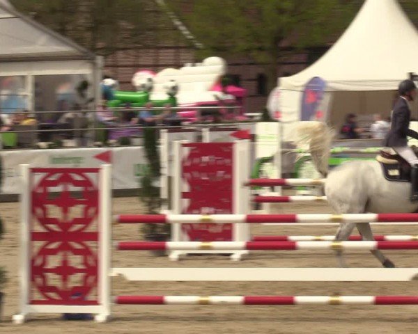 Lenklarer Reitertage Werne 2024