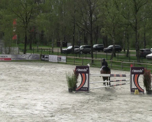 Reitturnier Westergellersen 2024