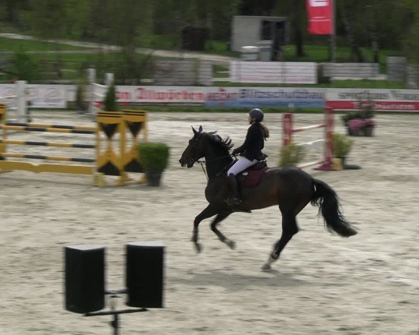 Reitturnier Westergellersen 2024