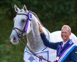 Springpferd Zuccero Hv (Holsteiner, 2012, von Zirocco Blue)