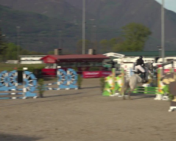 Reitturnier Giubiasco 2024