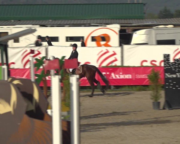 Reitturnier Giubiasco 2024