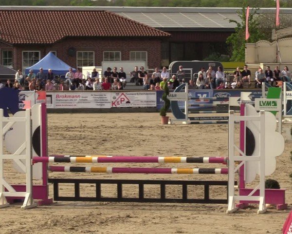 Lenklarer Reitertage Werne 2024