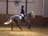 dressage horse Cosmo Jarvis (Westphalian, 2014, from Christiano)