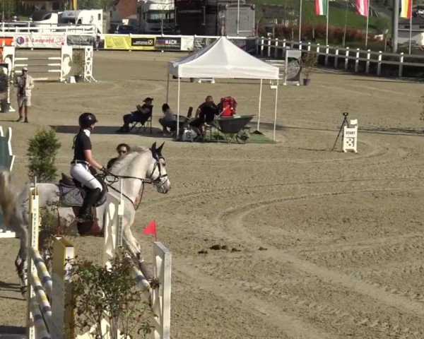 Reitturnier St. Margarethen 2024