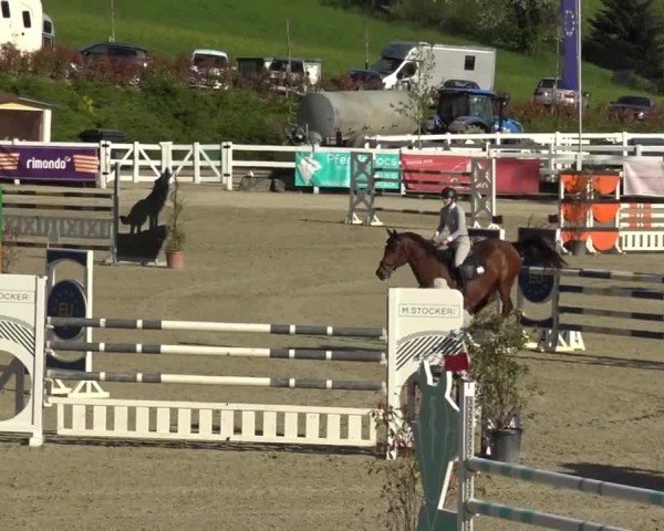 Reitturnier St. Margarethen 2024