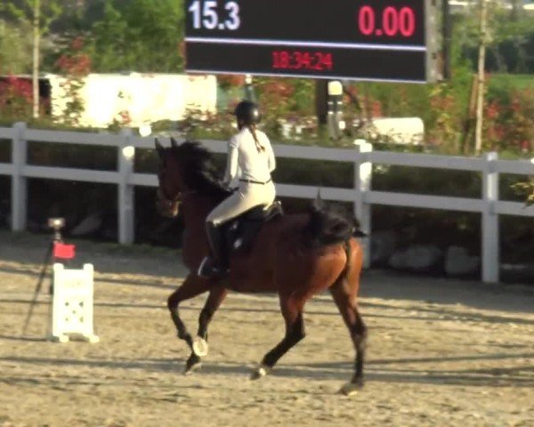 Reitturnier St. Margarethen 2024