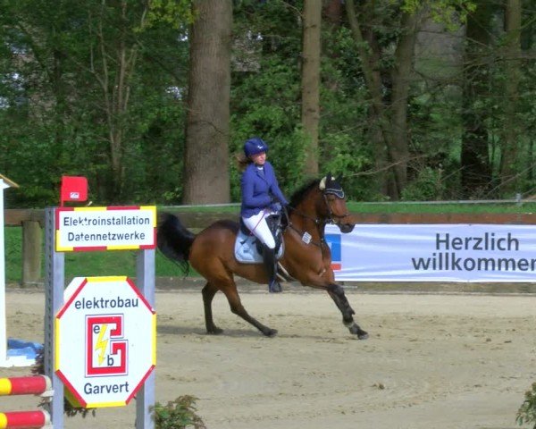 Reitturnier Rhede 2024