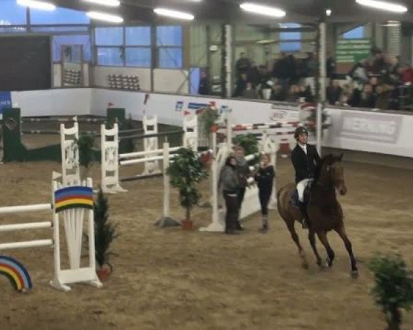 19. Winter Hallen Reit- und Springturnier 2011