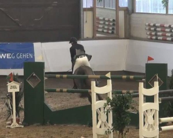 19. Winter Hallen Reit- und Springturnier 2011