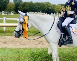 broodmare Milka (Welsh mountain pony (SEK.A), 2011, from Bengad Sky Rocket)