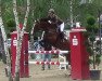 jumper Coco Cabana 6 (Oldenburg show jumper, 2004, from Cellini 8)