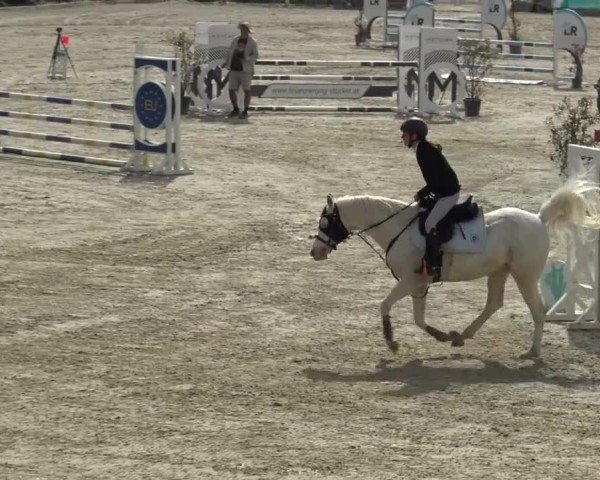Reitturnier St. Margarethen 2024