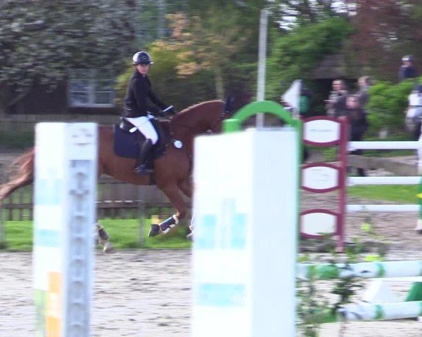 Reitturnier Breiholz "Am Moltkestein" 2024