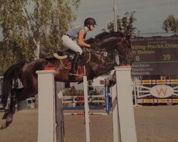 jumper Elohiem (KWPN (Royal Dutch Sporthorse), 2009, from Chin Chin)