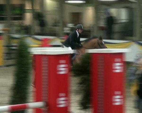 20. Grosses Hallen Springturnier in Vreden