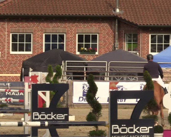 Lenklarer Reitertage Werne 2024