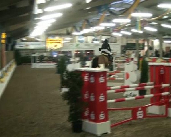 20. Grosses Hallen Springturnier in Vreden