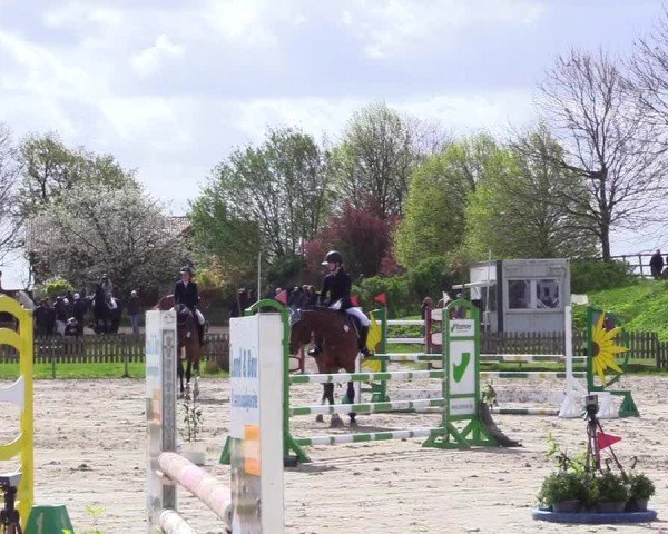 Reitturnier Breiholz "Am Moltkestein" 2024