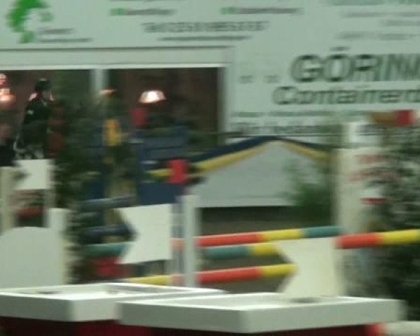 20. Grosses Hallen Springturnier in Vreden