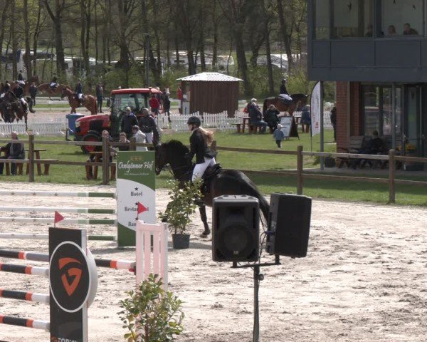 Reitturnier Westergellersen 2024