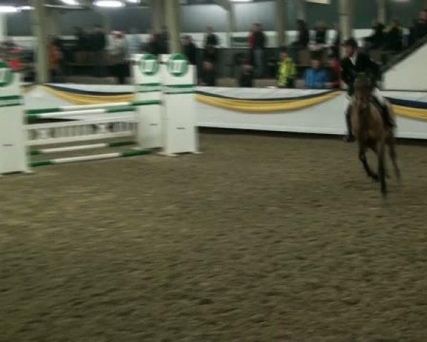 20. Grosses Hallen Springturnier in Vreden