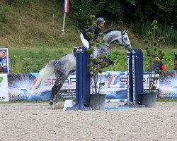 jumper Contro 2 (German Warmblood, 2012, from Cinsey)