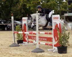 jumper Ams Prince D (German Riding Pony, 2009, from Amarillys Sensation D)