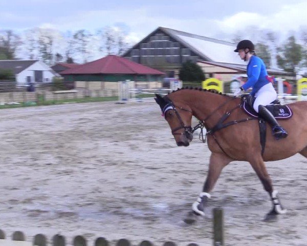 Reitturnier Breiholz "Am Moltkestein" 2024