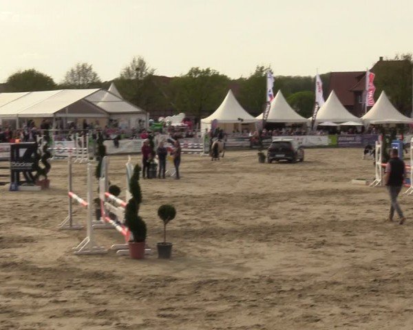 Lenklarer Reitertage Werne 2024