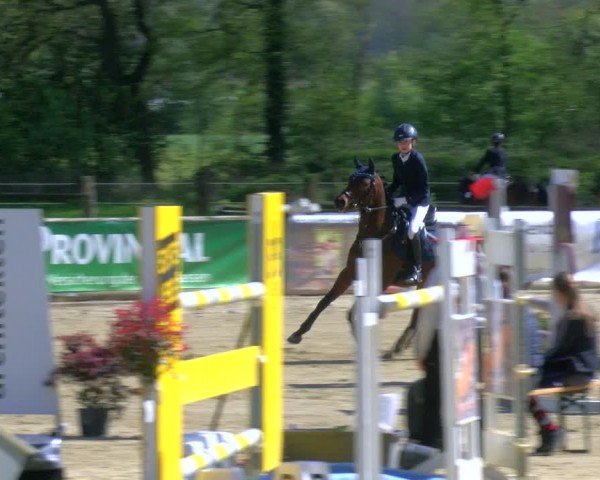 Reitturnier Rhede 2024