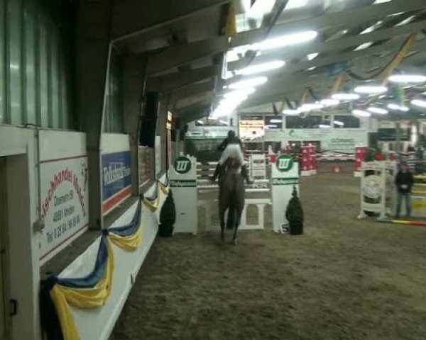 20. Grosses Hallen Springturnier in Vreden