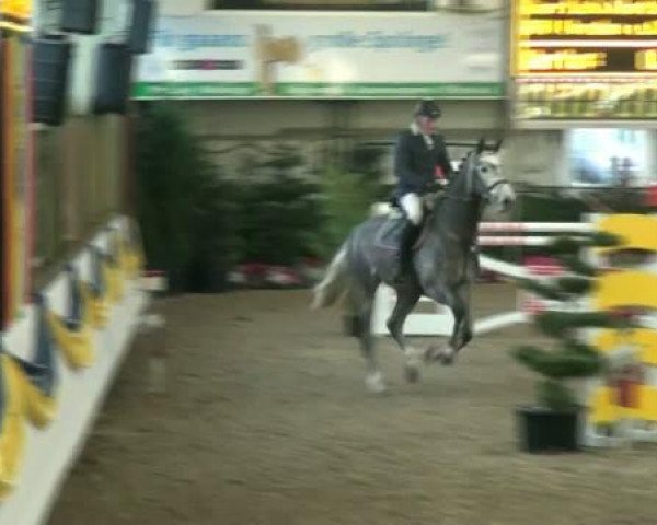 20. Grosses Hallen Springturnier in Vreden