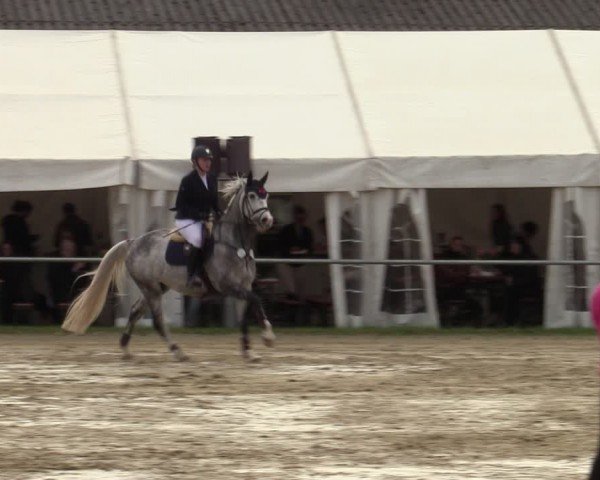 Reitturnier Bottrop 2024