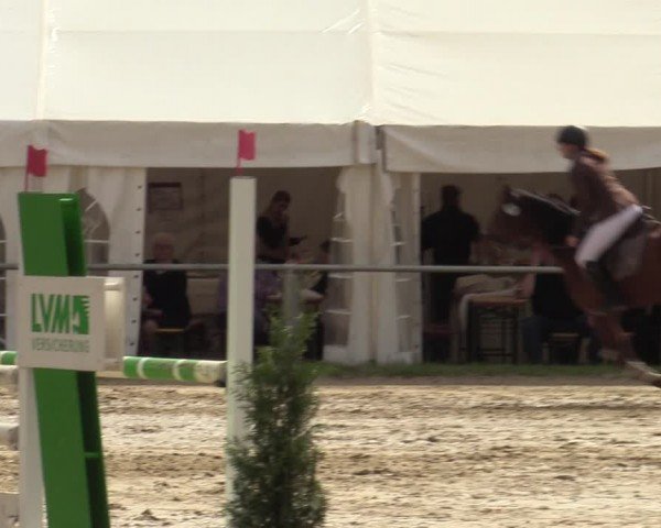Reitturnier Bottrop 2024