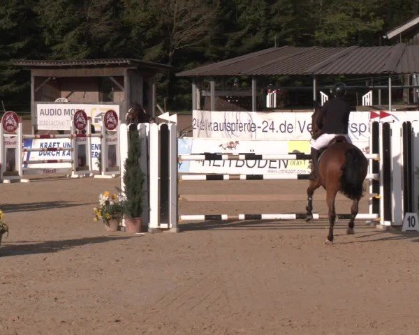Reitturnier Ranshofen - Braunau am Inn 2024