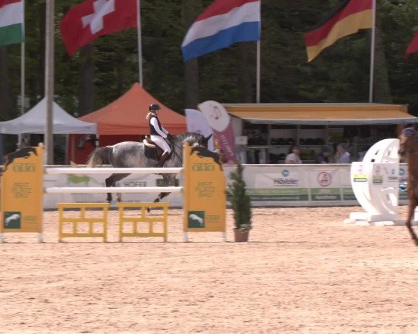 Reitturnier Ranshofen - Braunau am Inn 2024