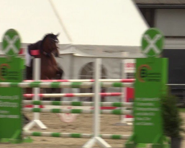 Reitturnier Bottrop 2024