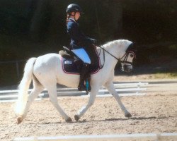 Zuchtstute Rosalie Rosinchen (Welsh Mountain Pony (Sek.A), 2001, von Raloon's Bolero)