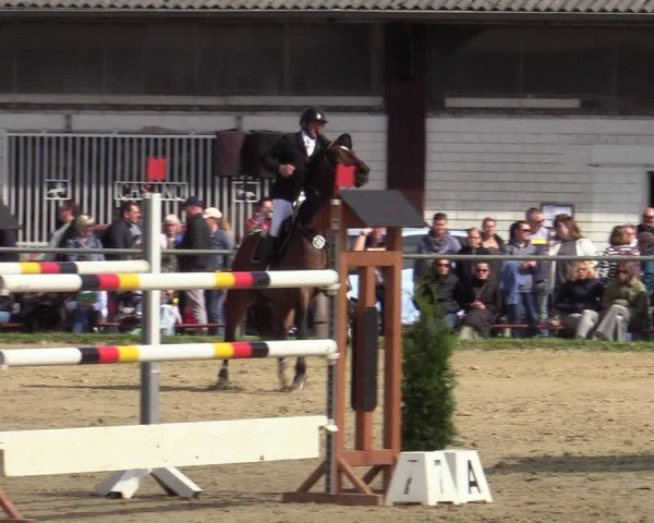 Reitturnier Bottrop 2024